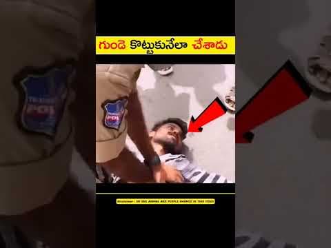 Recent post by Rakesh vlogger