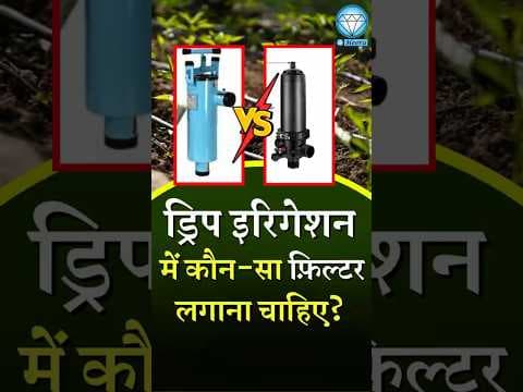 Recent post by Heera Agro Industries