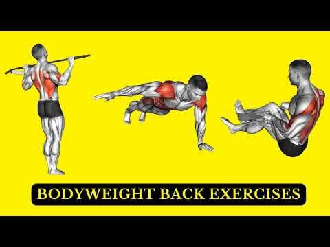 Recent post by FIT LIFE REGIME
