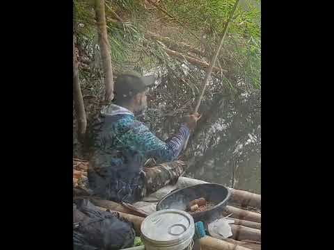 Recent post by Fishy Vlogs - Ajay Thiruvalla
