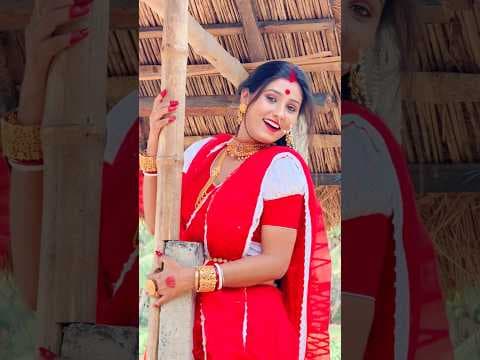 Recent post by Riya Bhattacharyya09