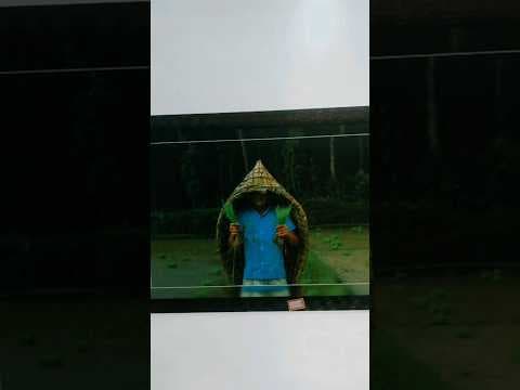 Recent post by Ashish Kambala