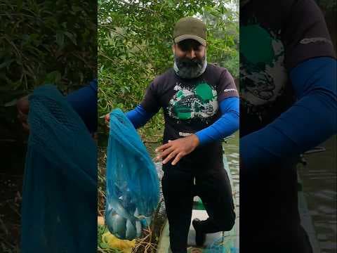 Recent post by Fishy Vlogs - Ajay Thiruvalla