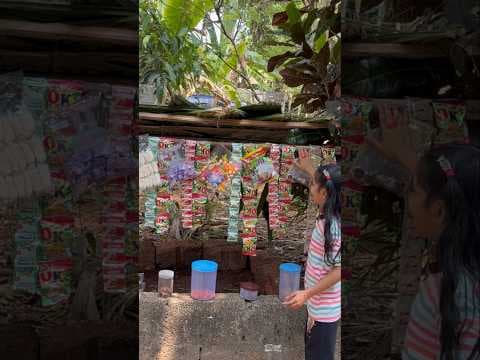 Recent post by Anshi's Vlogs