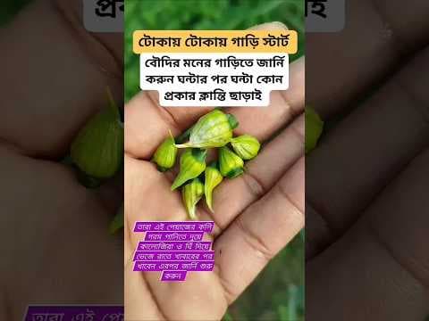 Recent post by Hakim Rashid Naogaon