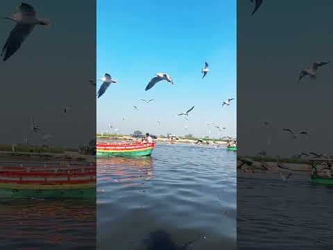 Recent post by Bhavna Yadav