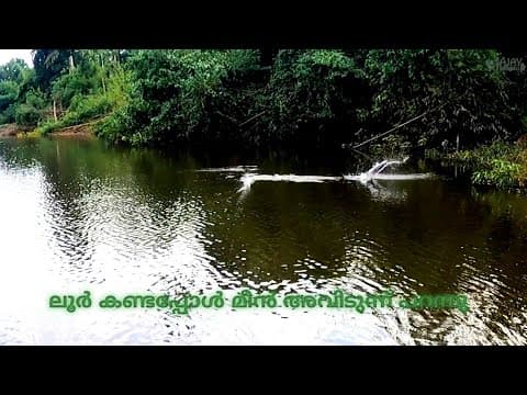 Recent post by Fishy Vlogs - Ajay Thiruvalla