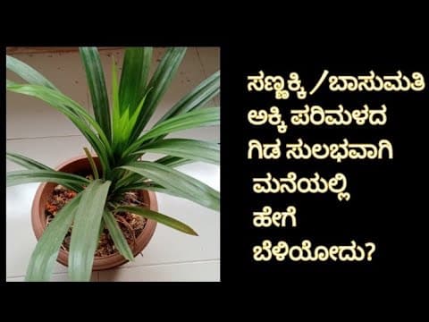 Recent post by My World - Swati Kamath