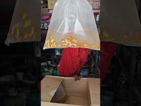Recent post by Vijay Vlogs
