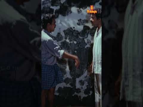 Recent post by Saina Movies