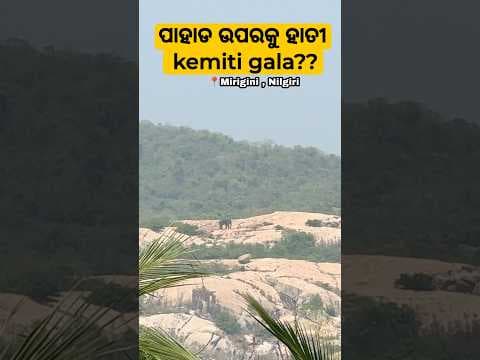 Recent post by Asutosh Jena