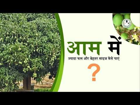 Recent post by Bihar Agricultural University Sabour