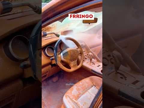 Recent post by The Frringo