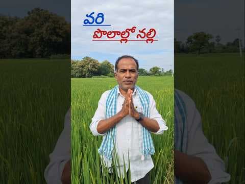 Recent post by Karshaka Nestham