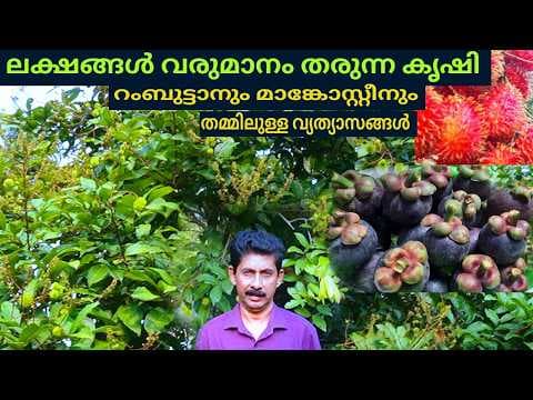 Recent post by Krishi Lokam