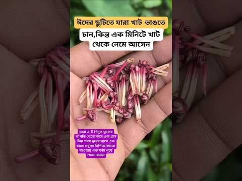 Recent post by Hakim Rashid Naogaon