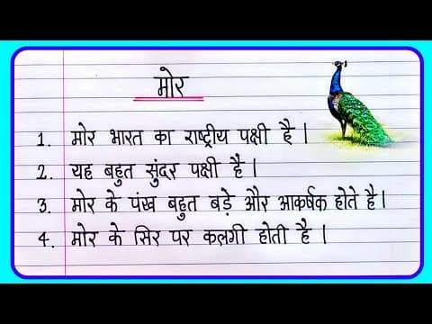 Recent post by Learn Essay Speech