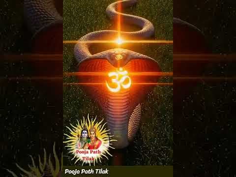 Recent post by Subhash Sharma