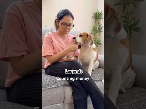 Recent post by Vartika Dixit