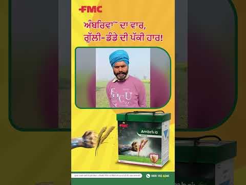 Recent post by FMC India