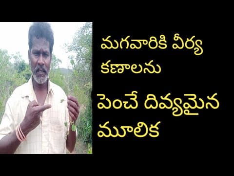 Recent post by ALL AP AYURVEDAM VENKATESH CHANNEL