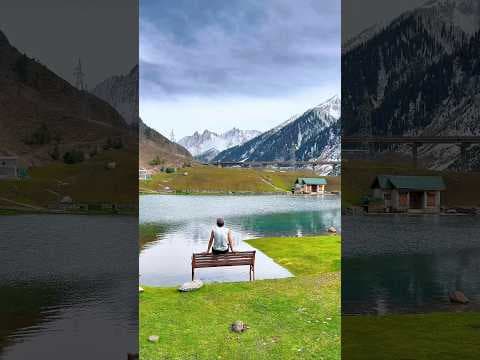 Recent post by Rouf Kashmir