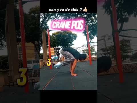 Recent post by Juned Fitness