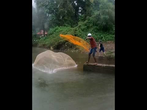 Recent post by Fishy Vlogs - Ajay Thiruvalla