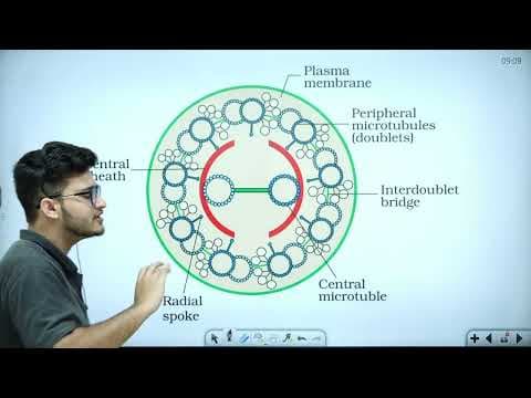 Recent post by Ozone Classes by Vipin Sharma Sir