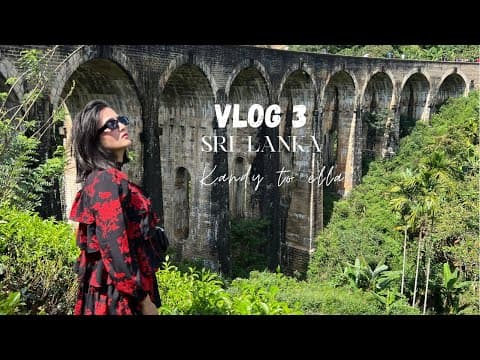 Recent post by Riya Mavi