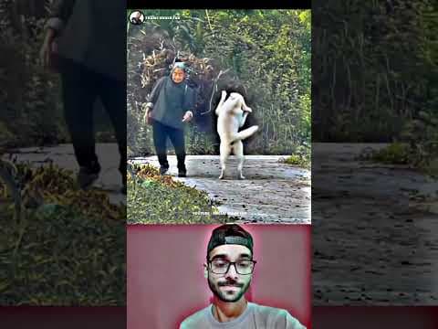 Recent post by FRAME ORDER FAN