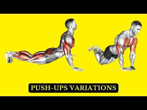 Recent post by FIT LIFE REGIME