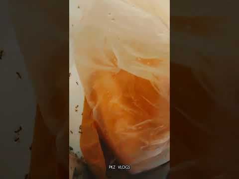 Recent post by Pkz Talks & Vlogs