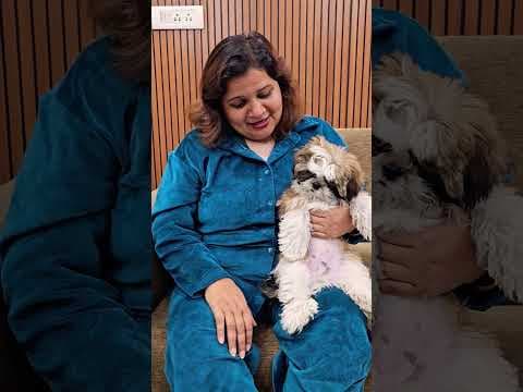 Recent post by Pooja Chaudhary