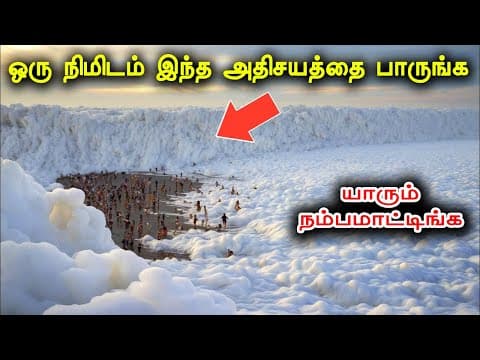 Recent post by Tamil Teazle