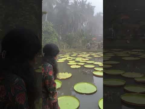 Recent post by Upadrasta Sunitha
