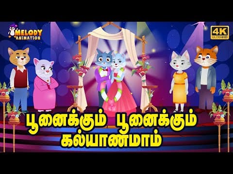 Recent post by Melody Animation