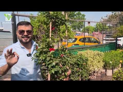 Recent post by Delhi Dudes