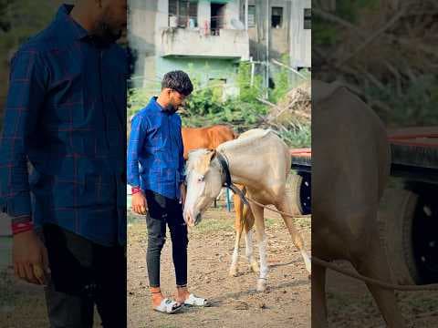 Recent post by Sunny Jadhav 92