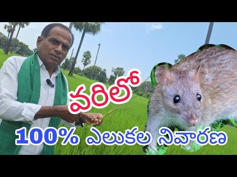 Recent post by Karshaka Nestham