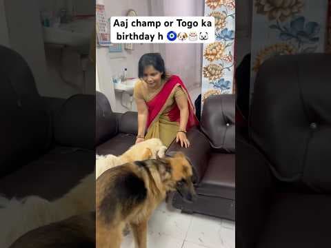 Recent post by Champ The Gsd