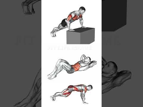 Recent post by FIT LIFE REGIME