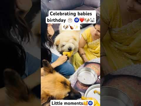 Recent post by Champ The Gsd