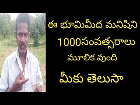 Recent post by ALL AP AYURVEDAM VENKATESH CHANNEL