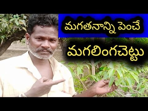 Recent post by ALL AP AYURVEDAM VENKATESH CHANNEL