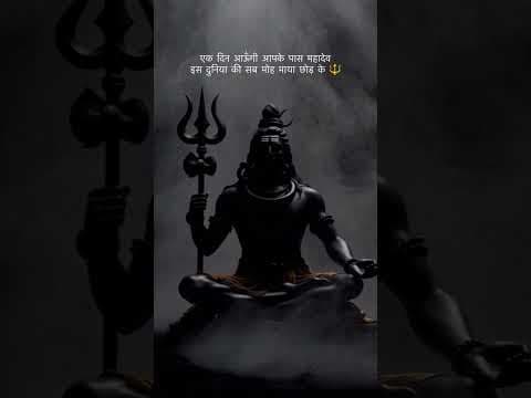 Recent post by Bhavna Yadav