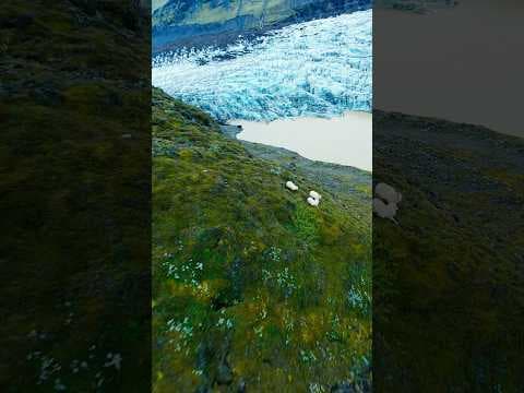 Recent post by Jeevan Kadam - Travel Content Creator