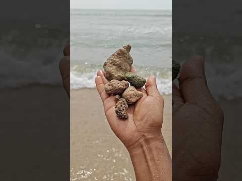 Recent post by Vijay Vlogs