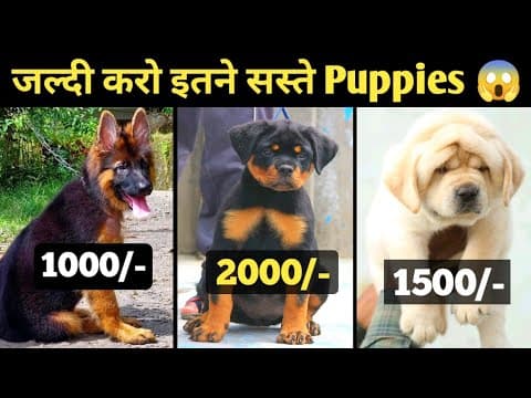 Recent post by Vt unlimited information
