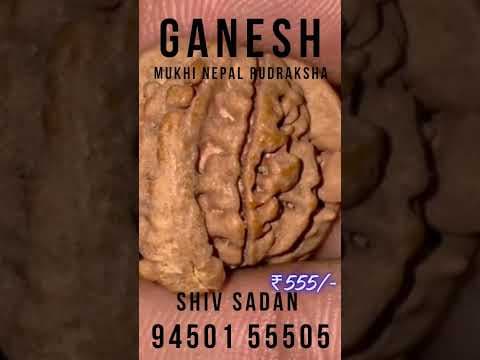 Recent post by Mayunk Saxena